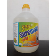 Express Washing Liquid 4L