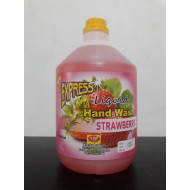 Express Hand Wash 4L