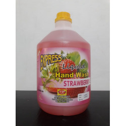 Express Hand Wash 4L