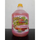 Express Hand Wash 4L