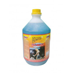 Express Car Wash 4L