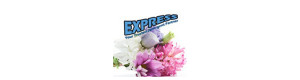 Express Cleaner