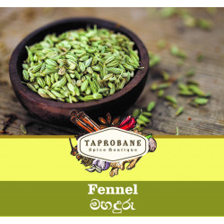 Fennel Seeds