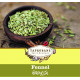 Fennel Seeds Fennel Seeds