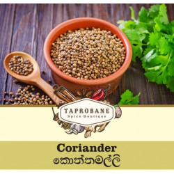 Coriander Seeds