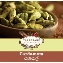 Cardamom
