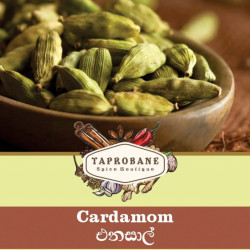 Cardamom