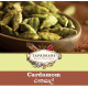 Cardamom