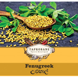 Fenugreek