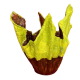 Flower Pot