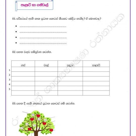 Sinhala & English type setting