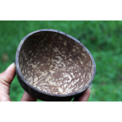 Coconut Standard Shell Cup - Brown