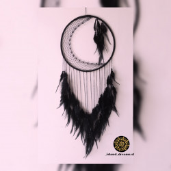 dreamcatcher