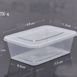 Microwavable PP Transparent Lunch box