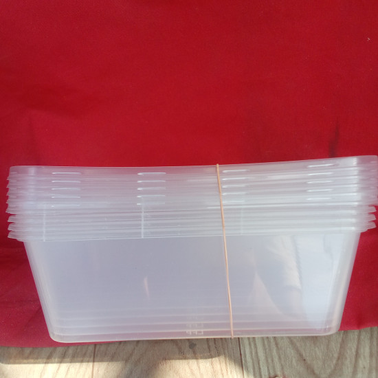 Microwavable PP Transparent Lunch box
