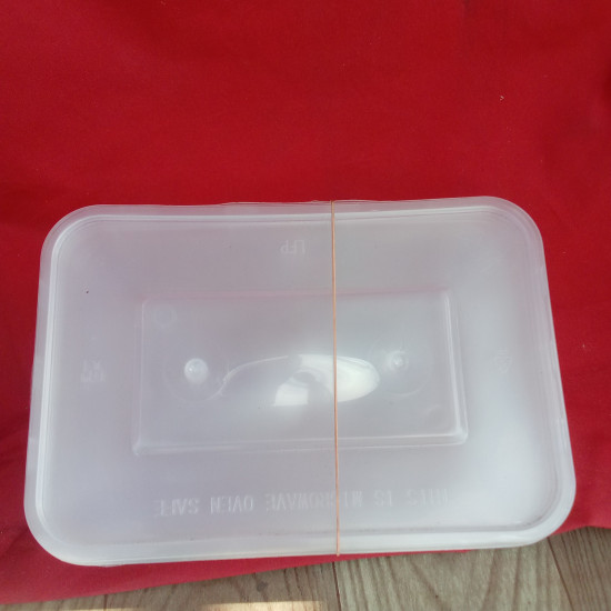 Microwavable PP Transparent Lunch box