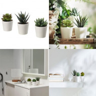 Ikea Succulent potted plant.