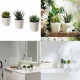Ikea Succulent potted plant.