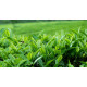 Pure qulity Dilmah premium Ceylon Loose Leaf tea 400g (14.10oz) Sri Lanka Pure qulity Dilmah premium Ceylon Loose Leaf tea 400g (14.10oz) Sri Lanka