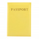 Travel Passport Holder