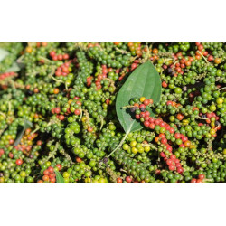 Black Pepper 100 g