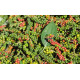 Black Pepper 100 g