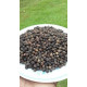 Black Pepper 100 g