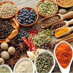 Spices Budjet Pack